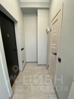 студия, 17 м², этаж 4