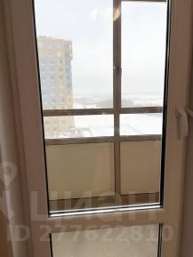 студия, 24 м², этаж 13