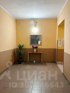 1-комн.кв., 57 м², этаж 5