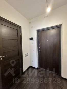 студия, 24 м², этаж 2