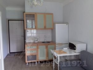 студия, 17 м², этаж 1