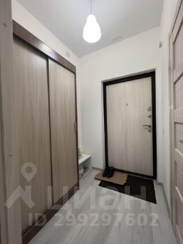 студия, 24 м², этаж 3