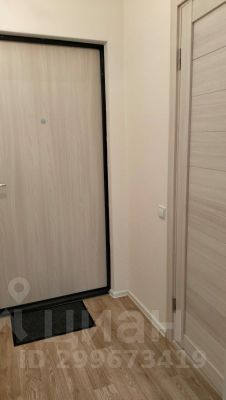 студия, 24 м², этаж 14