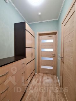 студия, 19 м², этаж 17