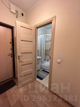 студия, 25 м², этаж 19