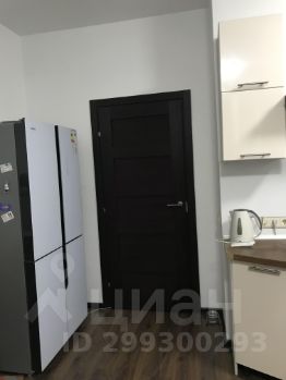 студия, 24 м², этаж 18