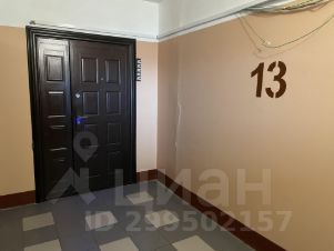 2-комн.кв., 50 м², этаж 13