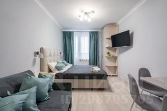 студия, 26 м², этаж 17