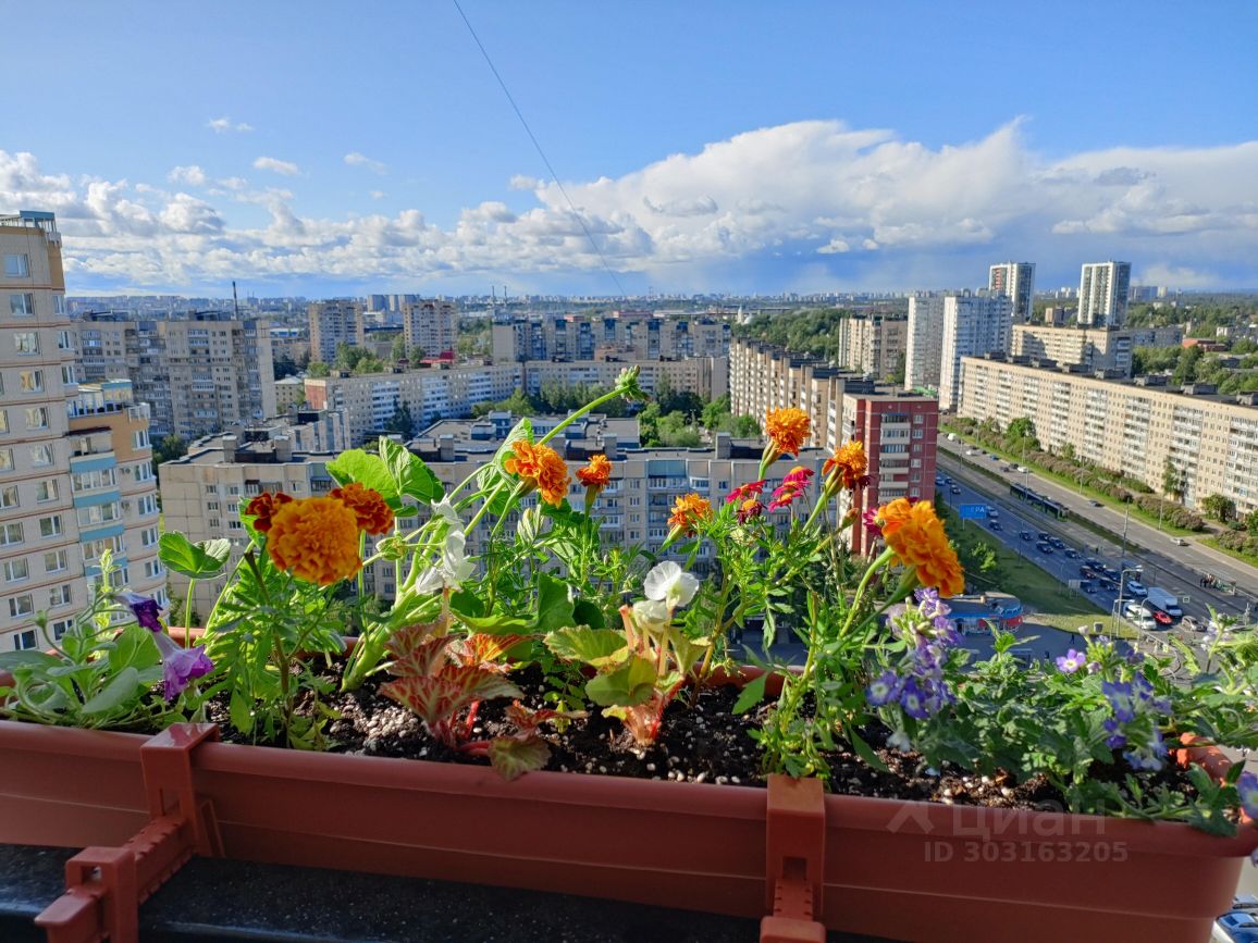 Снять квартиру на проспекте Наставников в Санкт-Петербурге на длительный  срок, аренда квартир длительно на Циан. Найдено 13 объявлений.