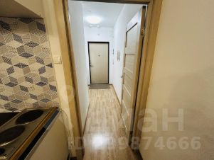 студия, 24 м², этаж 5