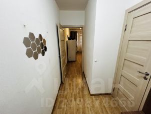 студия, 24 м², этаж 5