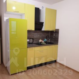 студия, 28 м², этаж 11