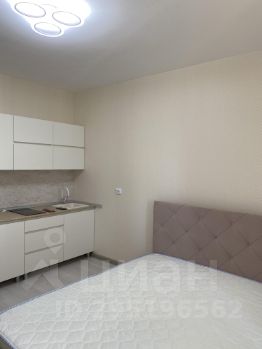 студия, 24 м², этаж 16