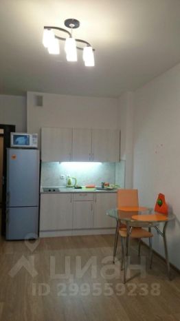 студия, 26 м², этаж 12