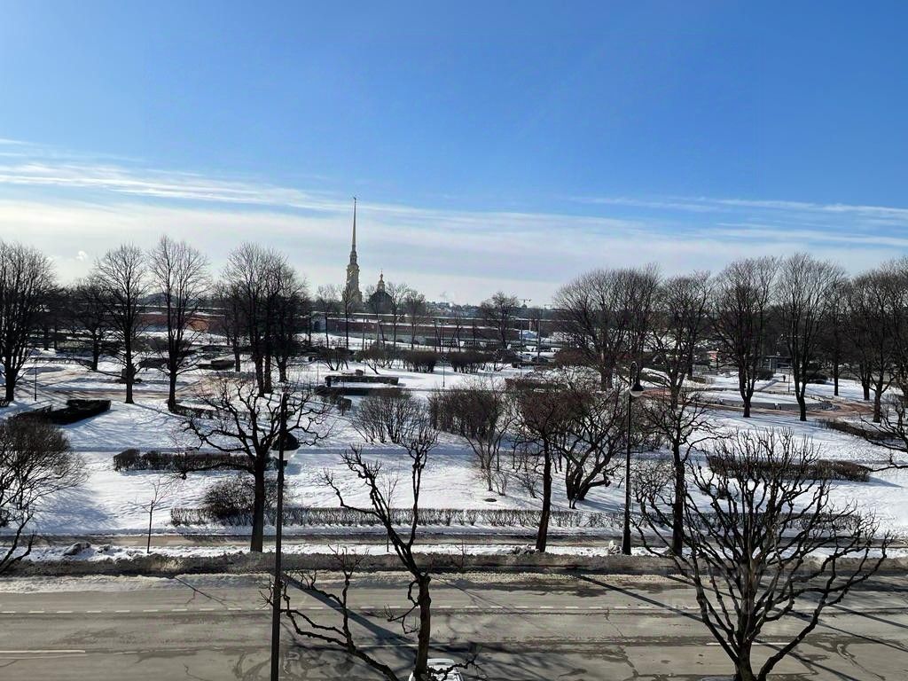 1-комн. кв., р-н Петроградский, Санкт-Петербург