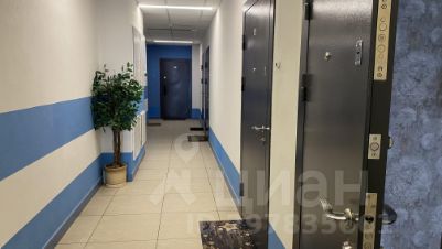 студия, 24 м², этаж 14