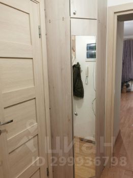 студия, 24 м², этаж 10