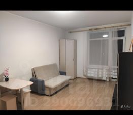 студия, 24 м², этаж 13