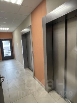 1-комн.кв., 31 м², этаж 6