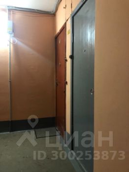 1-комн.кв., 31 м², этаж 3