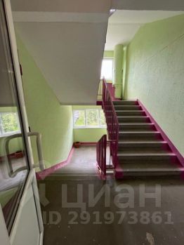 3-комн.кв., 52 м², этаж 5