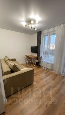 студия, 24 м², этаж 10