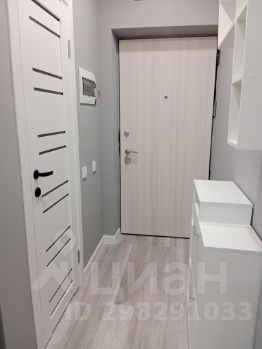 студия, 20 м², этаж 15