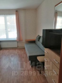 студия, 24 м², этаж 1