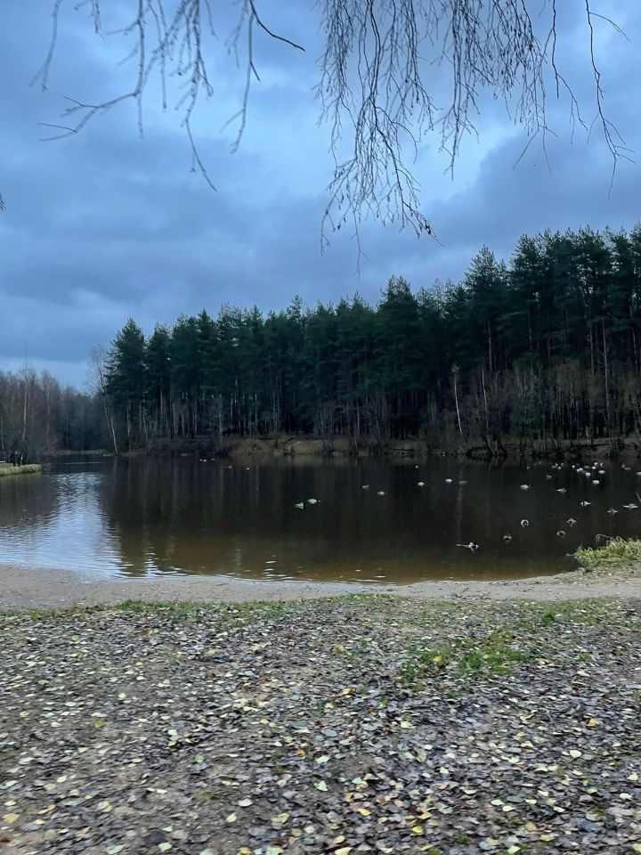 Продаю трехкомнатную квартиру 69м² Заречная ул., 10, Сертолово ...