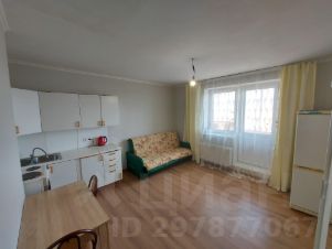 студия, 29 м², этаж 14