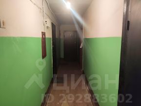 студия, 18 м², этаж 3