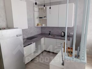 студия, 25 м², этаж 13