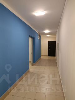 студия, 29 м², этаж 10