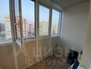 студия, 24 м², этаж 13