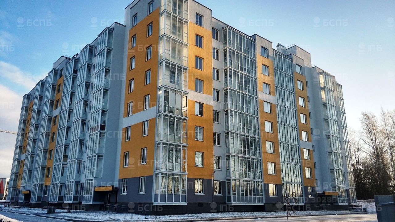 Продажа квартиры-студии 24,3м² ул. Рождественская, 2, Ленинградская  область, Всеволожский район, Агалатовское с/пос, Скотное деревня, м. Парнас  - база ЦИАН, объявление 302890315