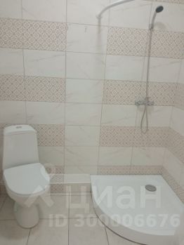 студия, 24 м², этаж 17