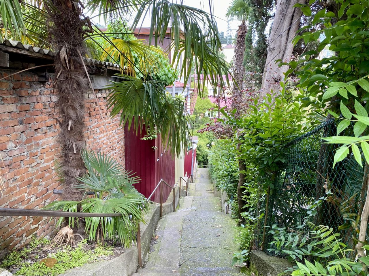 Студия Краснодарский край, Сочи Пионерская ул., 26 (25.0 м²)