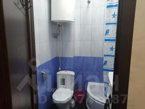 студия, 24 м², этаж 7