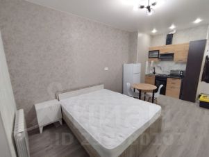 студия, 24 м², этаж 11