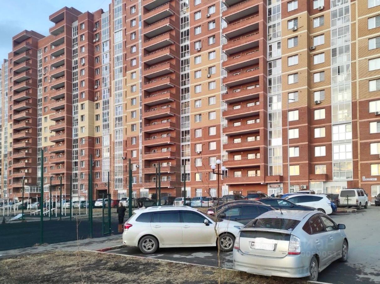 Стрижи 11. Стрижи 11