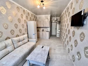 апарт.-студия, 22 м², этаж 2