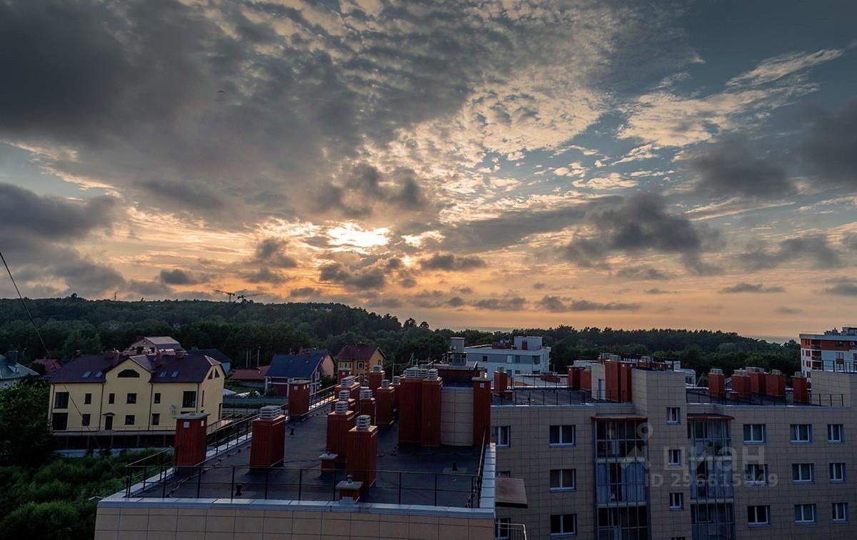 Купить квартиру на улице Дачная в городе Светлогорск, продажа квартир во  вторичке и первичке на Циан. Найдено 26 объявлений