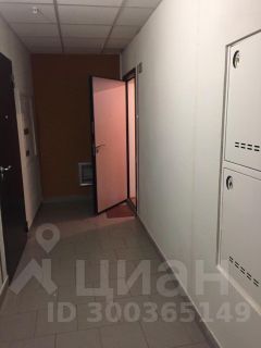 студия, 28 м², этаж 7