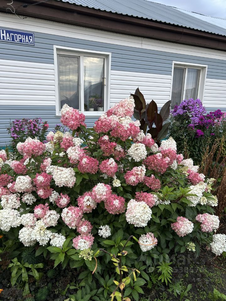 Комната 3-комн. 66.5 м² в с. Туендат — фото 6 из 8