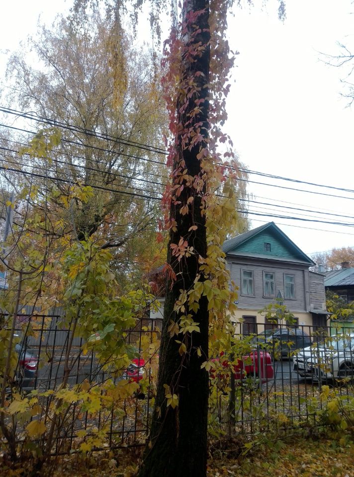 2-к кв. Тверская область, Тверь Симеоновская ул., 54 (41.0 м²)