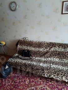 1-комн.кв., 35 м², этаж 2