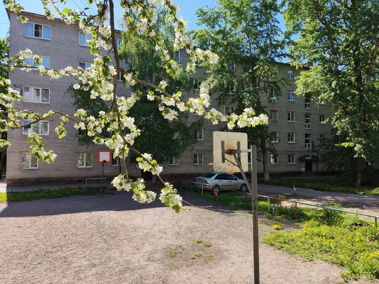 Купить 1-комнатную квартиру на улице Новолучанская в городе Великий  Новгород, продажа однокомнатных квартир во вторичке и первичке на Циан.  Найдено 2 объявления