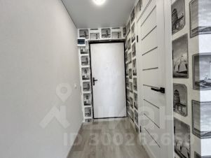 студия, 19 м², этаж 8