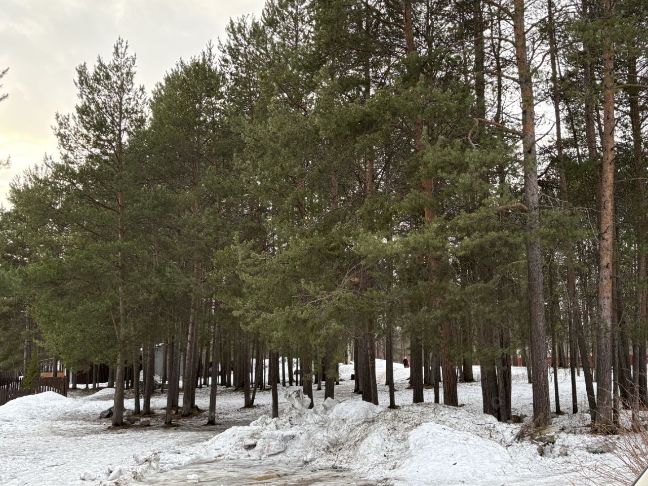 Квартира 2-комн. 54.4 м² в пгт Верхнетуломский — фото 11 из 23