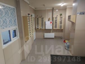 студия, 25 м², этаж 17